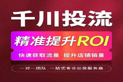 解析SEM竞价代运营的成功要素及案例
